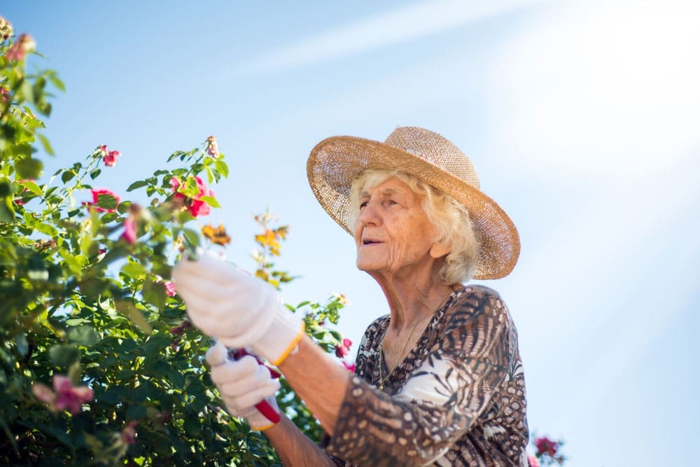 Senior woman gardening enjoying the Charter Senior Living Lifestyle